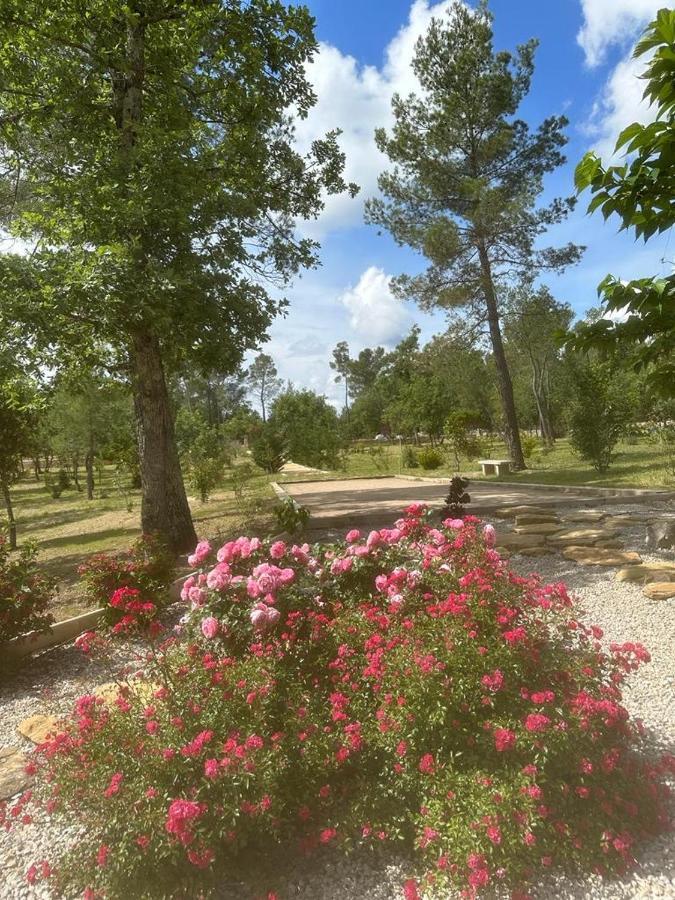 Superbe Villa Seillans La Grande Bastide Avec Piscine, Jardin, Climatisation Et Salle De Sport Exteriör bild
