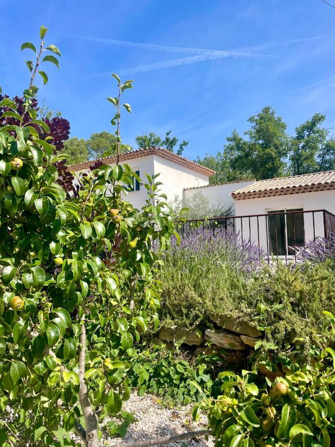 Superbe Villa Seillans La Grande Bastide Avec Piscine, Jardin, Climatisation Et Salle De Sport Exteriör bild