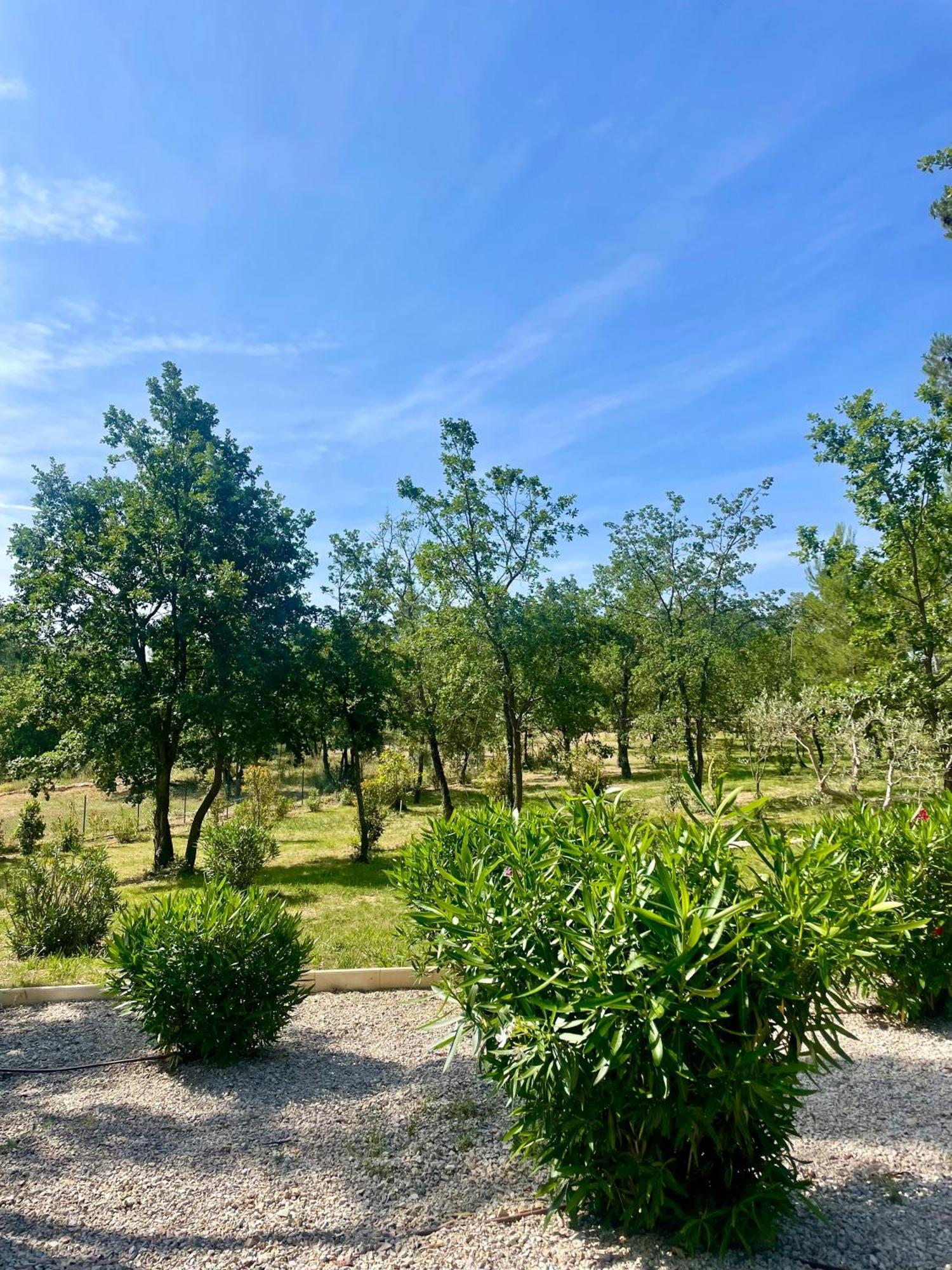 Superbe Villa Seillans La Grande Bastide Avec Piscine, Jardin, Climatisation Et Salle De Sport Exteriör bild