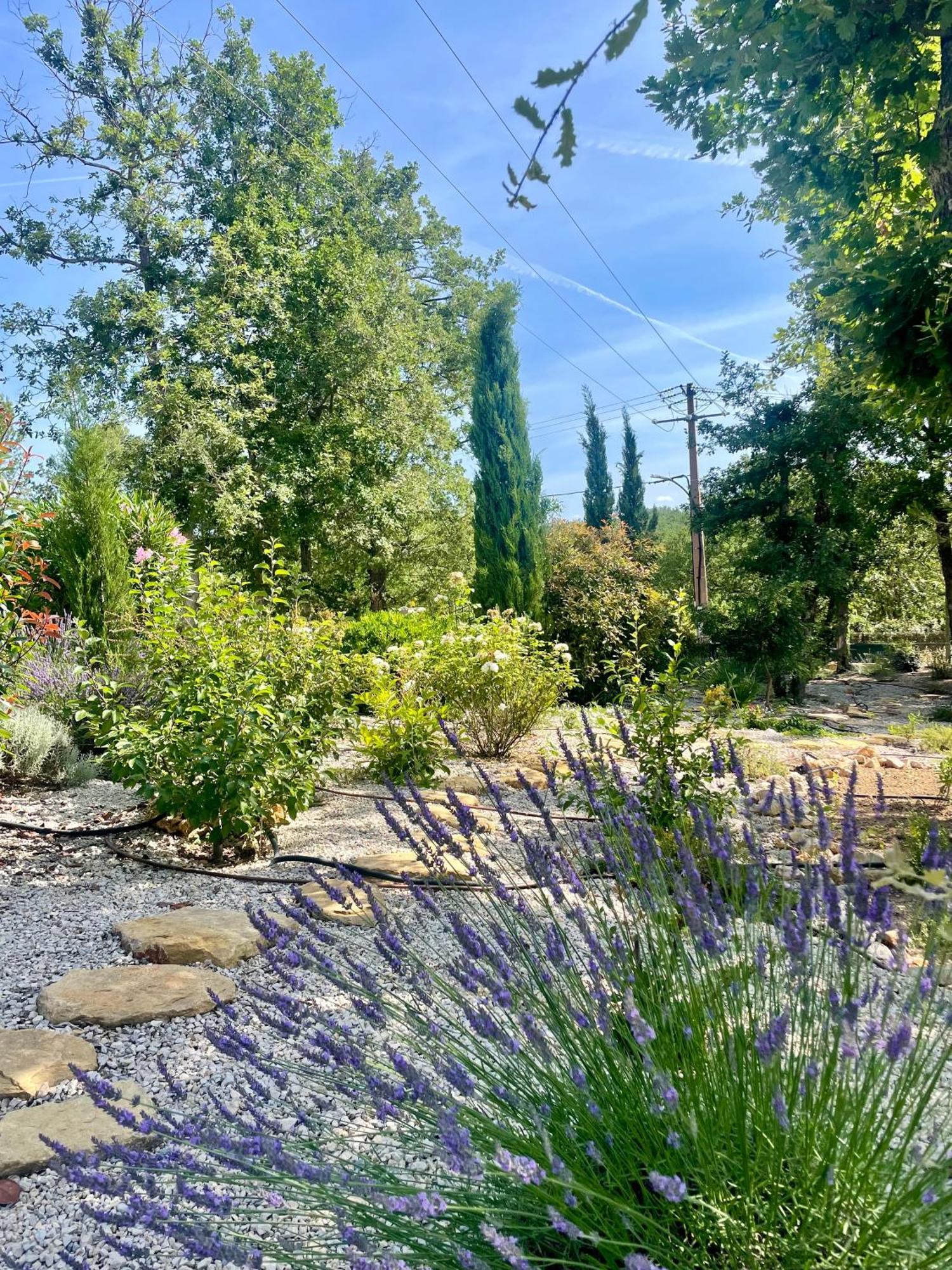 Superbe Villa Seillans La Grande Bastide Avec Piscine, Jardin, Climatisation Et Salle De Sport Exteriör bild