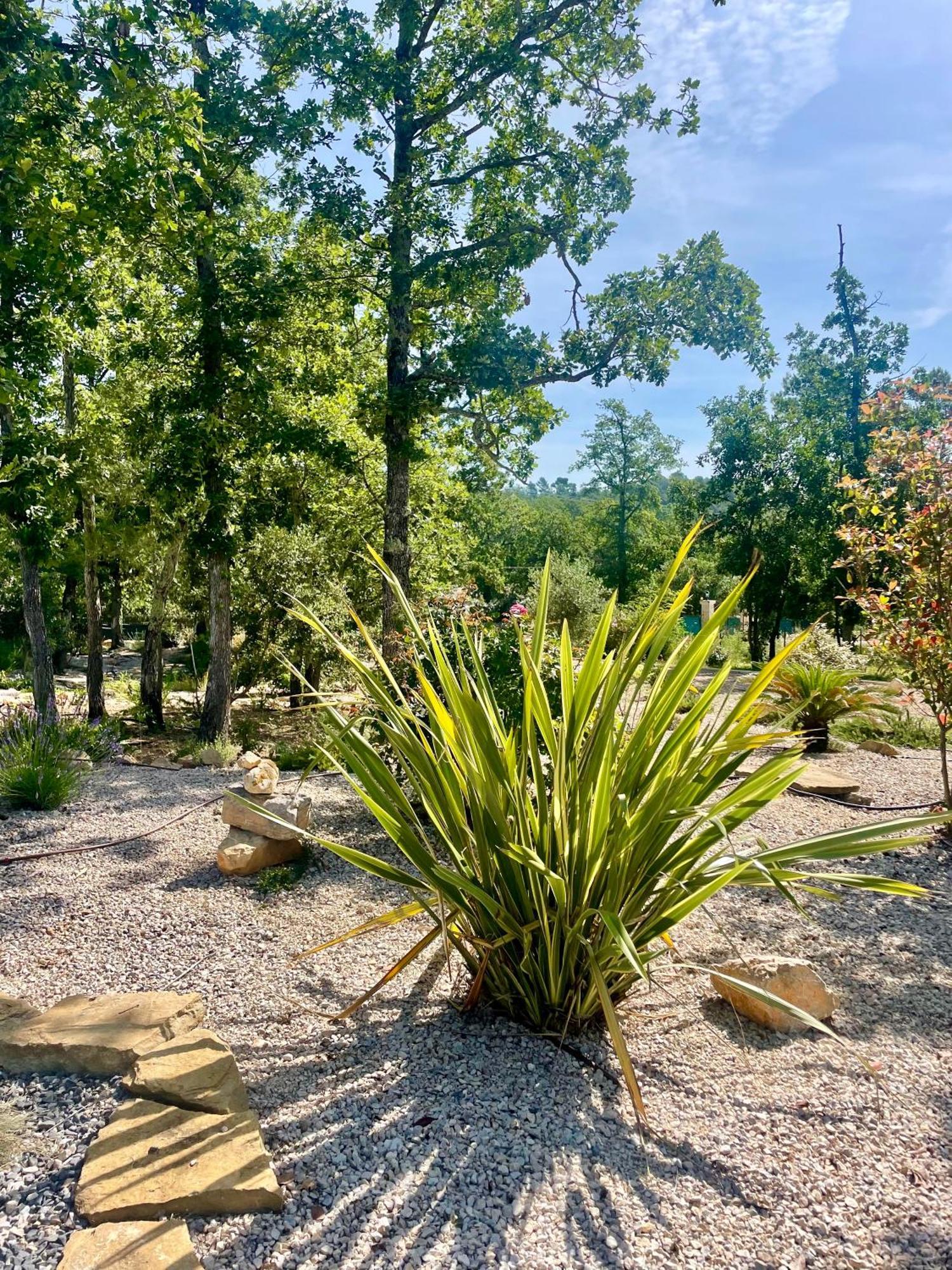 Superbe Villa Seillans La Grande Bastide Avec Piscine, Jardin, Climatisation Et Salle De Sport Exteriör bild