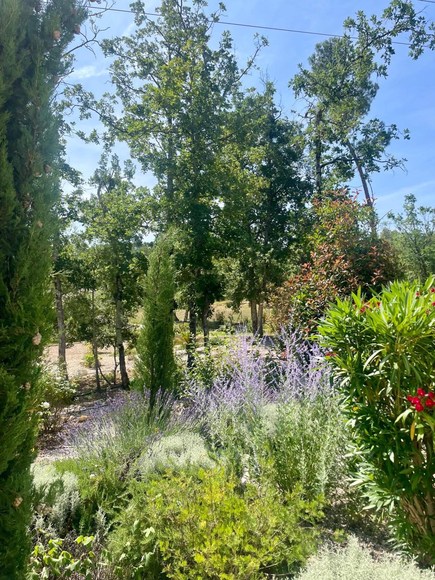 Superbe Villa Seillans La Grande Bastide Avec Piscine, Jardin, Climatisation Et Salle De Sport Exteriör bild