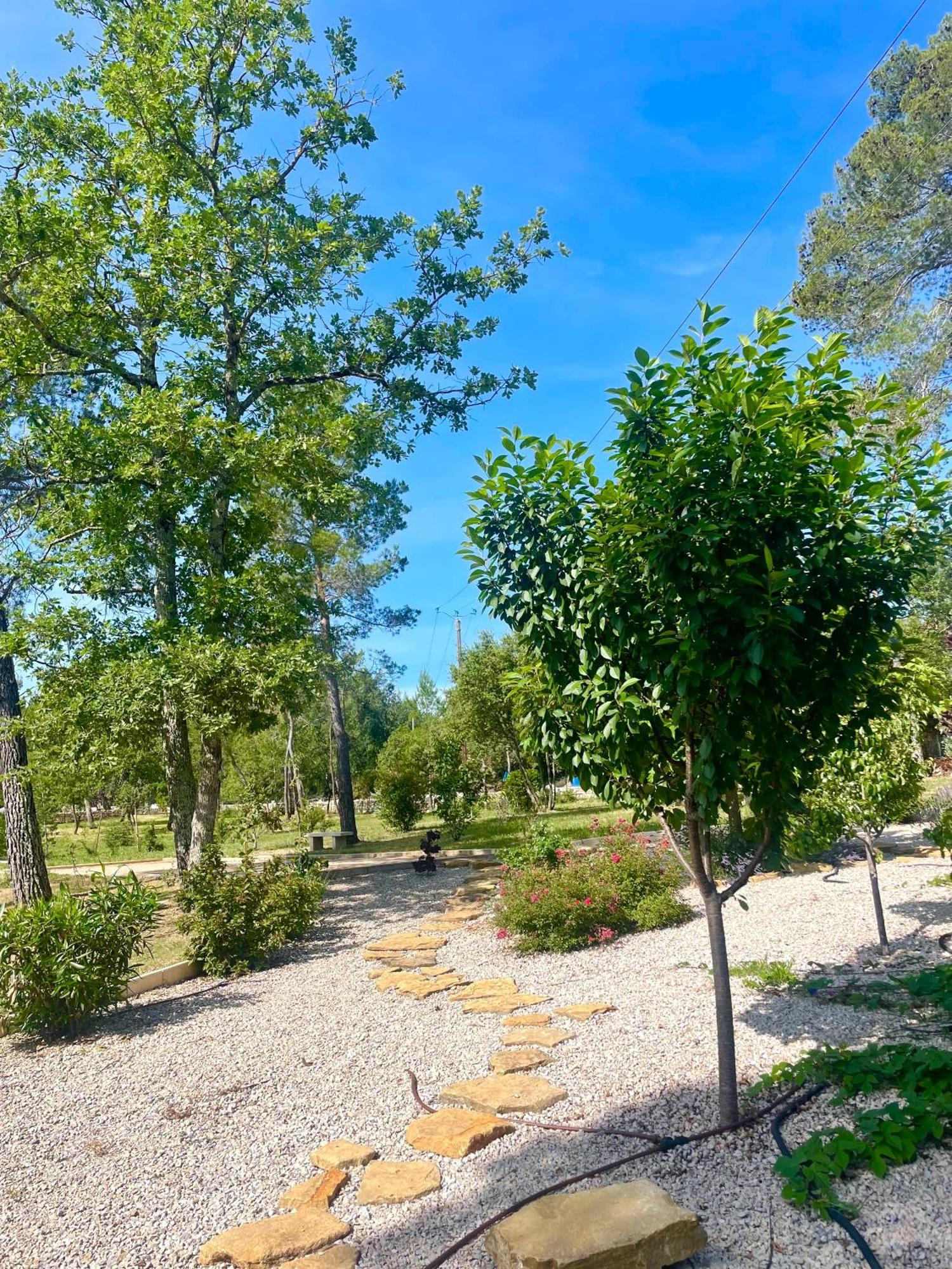 Superbe Villa Seillans La Grande Bastide Avec Piscine, Jardin, Climatisation Et Salle De Sport Exteriör bild
