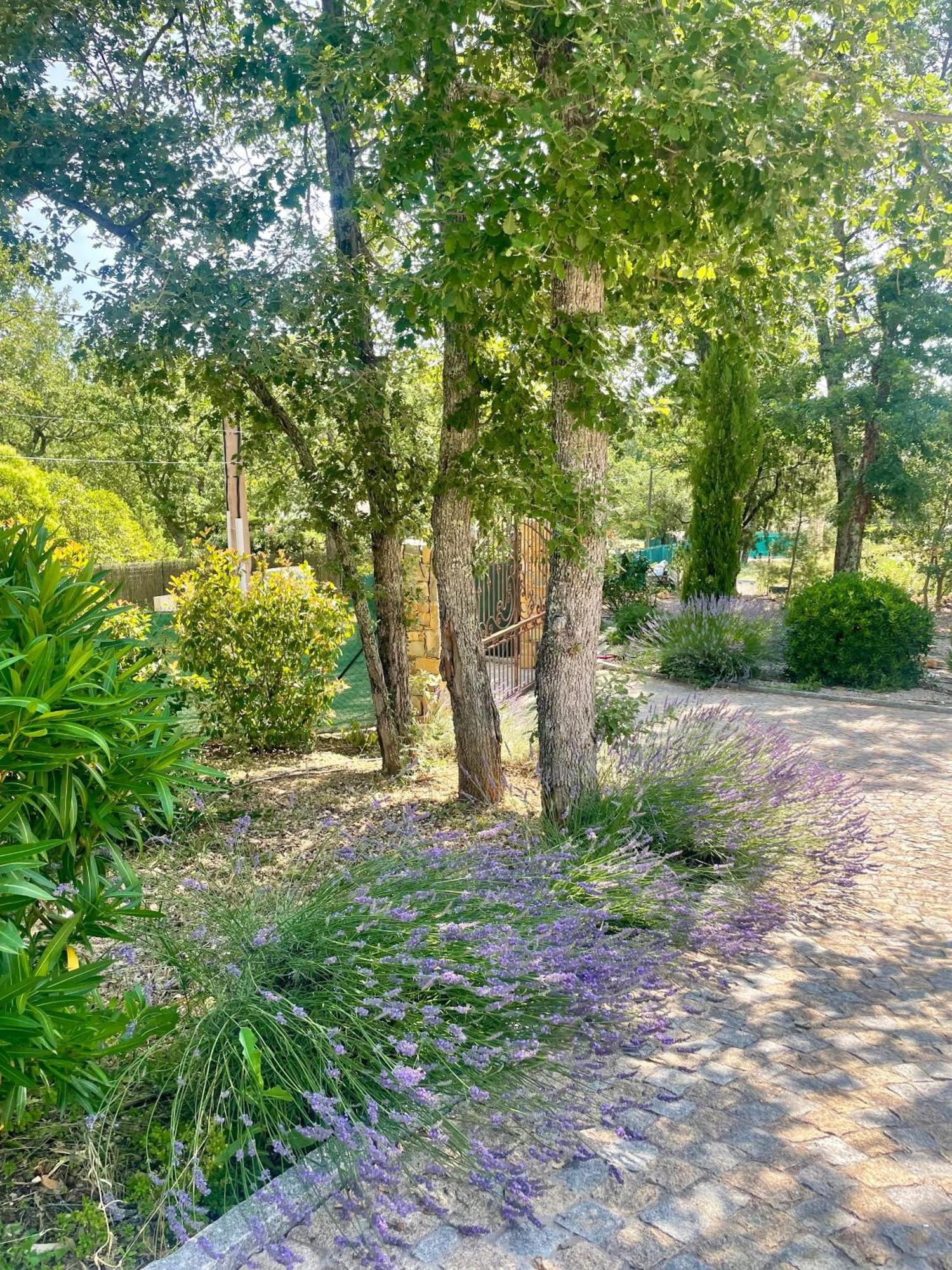 Superbe Villa Seillans La Grande Bastide Avec Piscine, Jardin, Climatisation Et Salle De Sport Exteriör bild