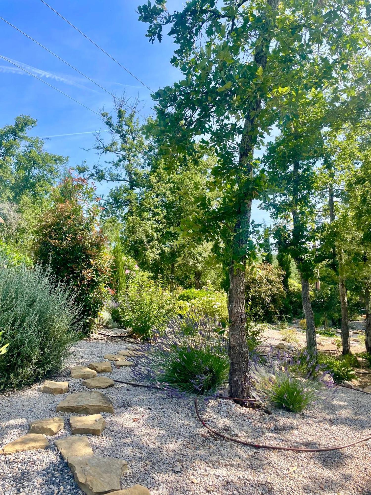 Superbe Villa Seillans La Grande Bastide Avec Piscine, Jardin, Climatisation Et Salle De Sport Exteriör bild